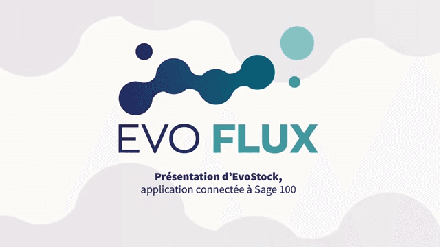 EvoStock en vidéo : notre déploiement chez Liberty Electric Motion